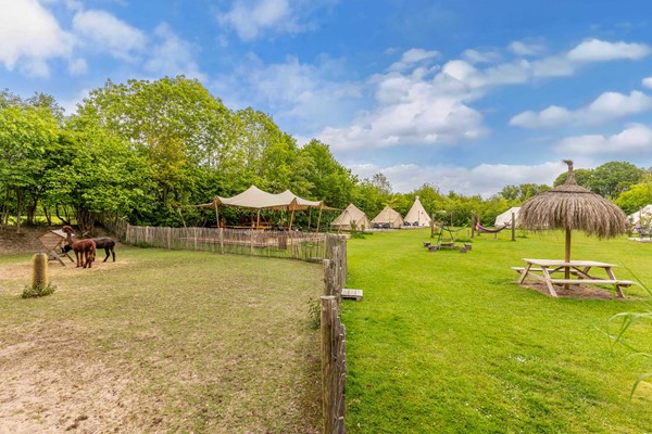 Medium property photo - Oosterpaasloërweg 2, 8378 JC Paasloo